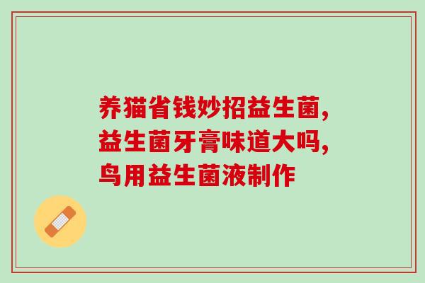 猫宠物益生菌怎么吃(宠物猫如何使用益生菌？)