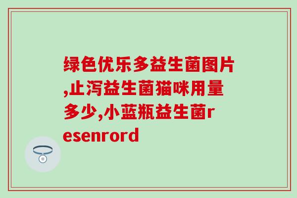 白芸豆益生菌应该什么时候吃(合适的时间去食用白芸豆益生菌是什么时候？)