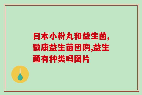 益生菌修复肠道(重塑肠道健康：益生菌修护)