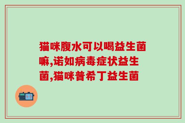 益生菌喂猫咪怎么吃(喂猫咪吃益生菌的正确方法)
