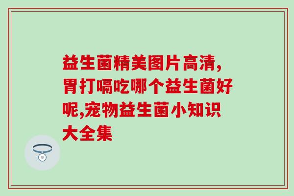 益生菌喝到多久停止排便(多久停止排便？益生菌喝法讲解)