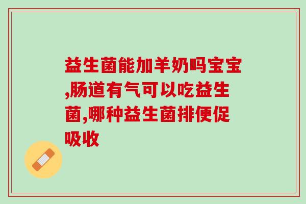 益生菌喂猫有效果吗知乎(喂猫益生菌有没有效果？知乎科普)