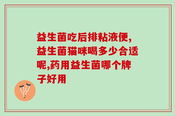 益生菌宠物食物有哪些品种(益生菌宠物食品品种一览)