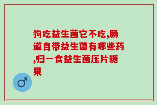 益生菌怎么吃不胖食物推荐(益生菌食用指南：推荐不胖食物品种！)