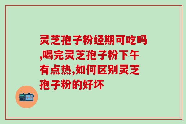 灵芝眼贴宣传(灵芝眼贴：缓解眼疲劳，保护眼健康)
