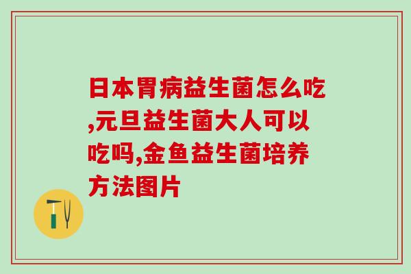 益生菌搭档食品(益生菌与食品的黄金搭档)