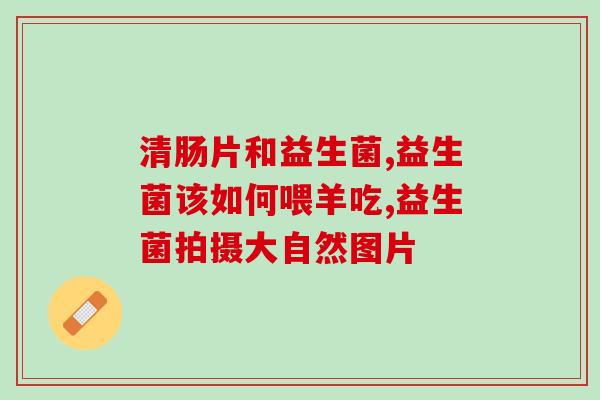 益生菌生产企业概述怎么写(益生菌生产企业概述：一个全面提高健康的行业)