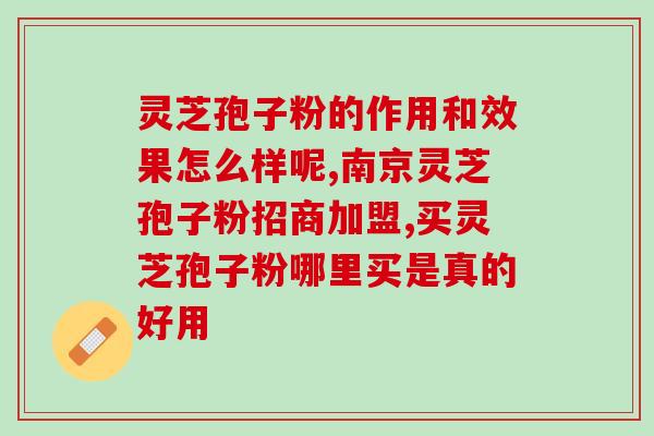 参花燕窝灵芝(参花燕窝灵芝：营养滋补圣品)