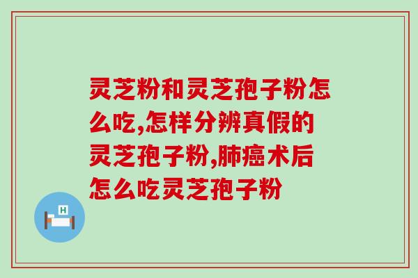 灵修种灵芝(灵修之旅：探寻灵芝的奥秘)