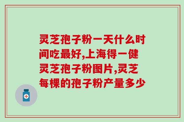粽子灵芝(灵芝为核心，创新味道——全新口感的粽子)