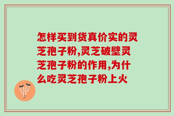 朴树上灵芝(朴树寻找健康之道：探秘灵芝的神奇功效)