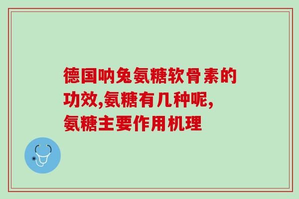 萨摩耶软骨素买哪种？如何帮助萨摩耶立耳