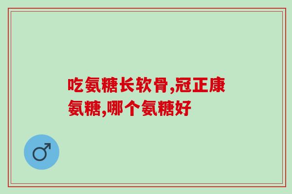 猫咪软骨素治疗什么？折耳猫怎么养才能减轻它的痛苦