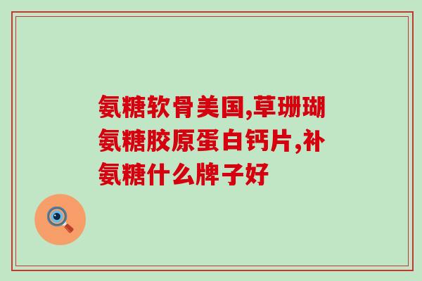 嚼味鲨鱼软骨素好吗？鱼翅的口感