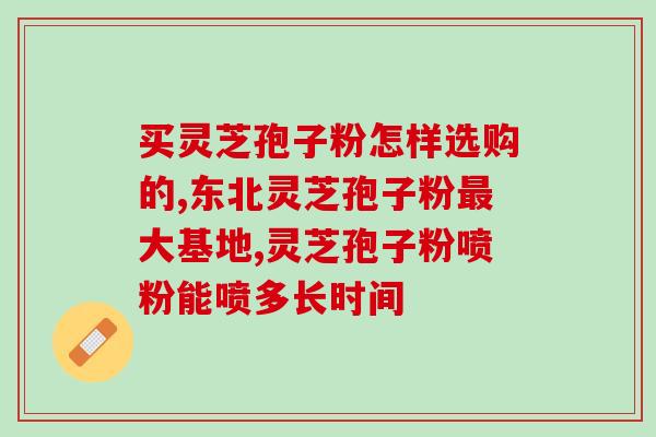 熊出没老版灵芝(熊出没第一季重磅回归！)