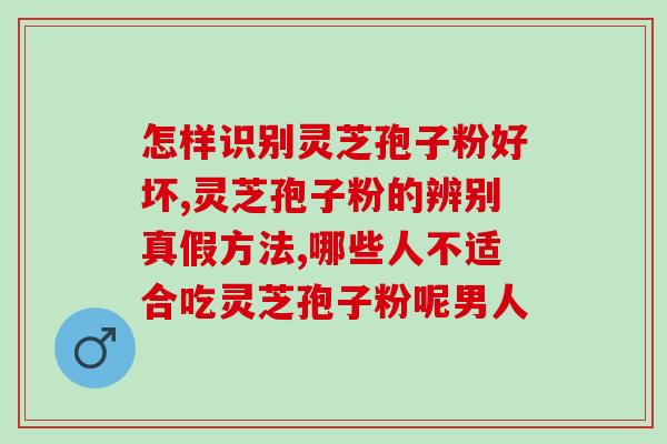 蘑菇侍卫灵芝(灵芝守卫：蘑菇冒险记)