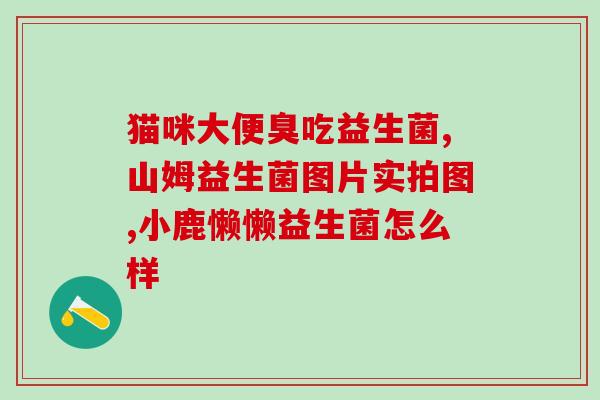 益生菌片怎么保存合适(益生菌片的正确储存方法)
