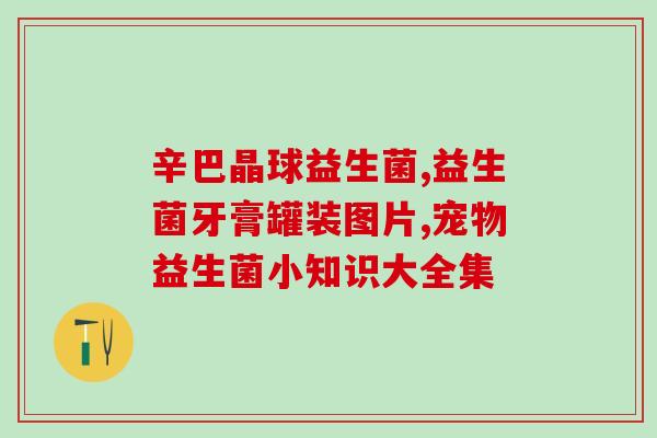 益生菌粉末做法怎么吃最好(如何最优化食用益生菌粉末)