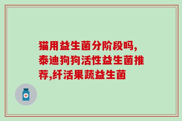 益生菌白薯干69元6包(白薯干益生菌6包装特价:仅需69元!) 益生菌白薯干69元6包(白薯干益生菌6包装特价:仅需69元!)