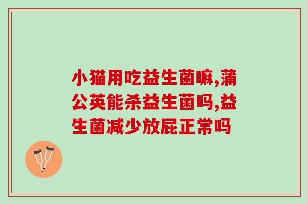 益生菌宠比利(宠物健康的“神器”——益生菌)