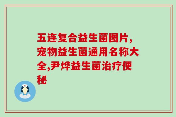 益生菌豆干粉都管什么呢(益生菌豆干粉有哪些功效？)