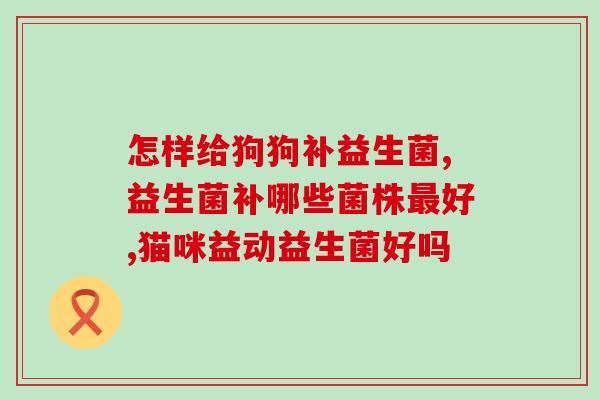 益生菌纤脂茶怎么喝(益生菌纤脂茶的饮用方法和步骤)