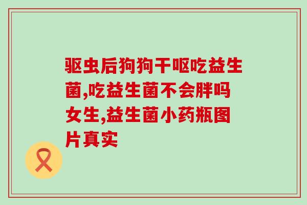 益生菌腹泻猫咪推荐吃吗(推荐给腹泻猫咪的益生菌)