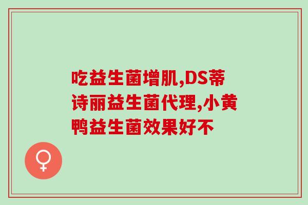 益生菌益生元粉推荐(推荐益生菌粉及益生元粉，维护肠道健康)