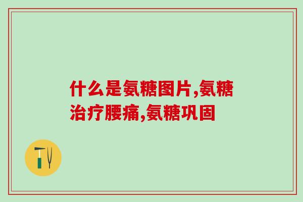 为什么狗要吃软骨素钙？氨基葡萄糖硫酸软骨素钙胶囊狗狗可以吃吗