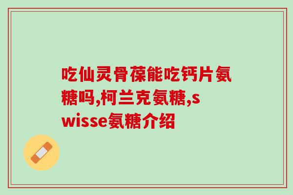 老年犬补充软骨素？老年犬吃什么