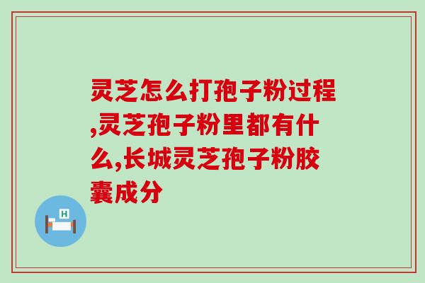 灵芝曲子(灵芝之音：曲如流水，仙风道骨)