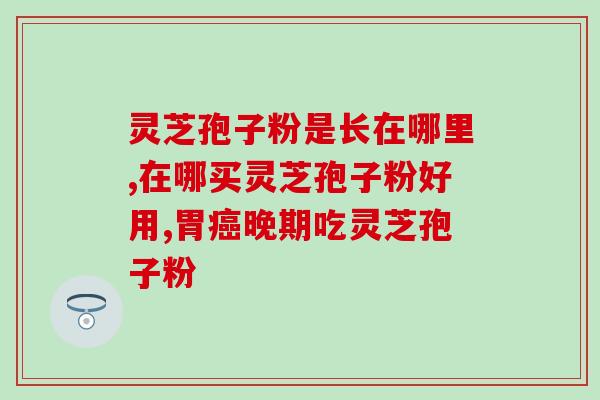 松树上灵芝图片高清(高清图片：松树上的灵芝)