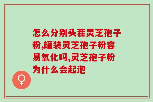 灵芝培养盒评测(灵芝培养盒实际操作评测分享)