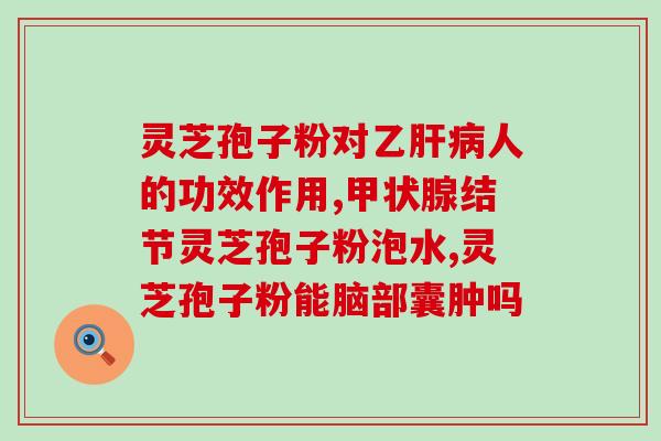 海南灵芝专卖店(海南专卖店售卖正宗灵芝产品)