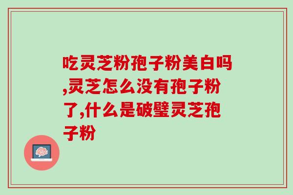 云南野生竹灵芝什么价位(云南竹灵芝价格介绍)