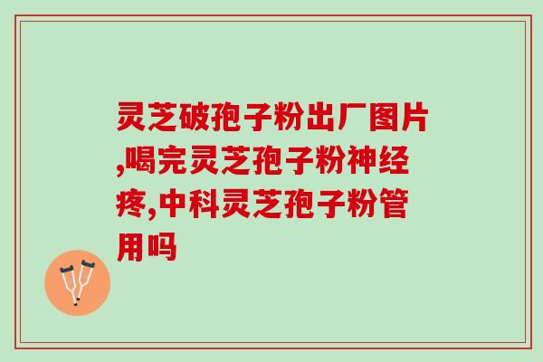 灵芝特写展示图片高清版(高清展示：灵芝，无价之宝)
