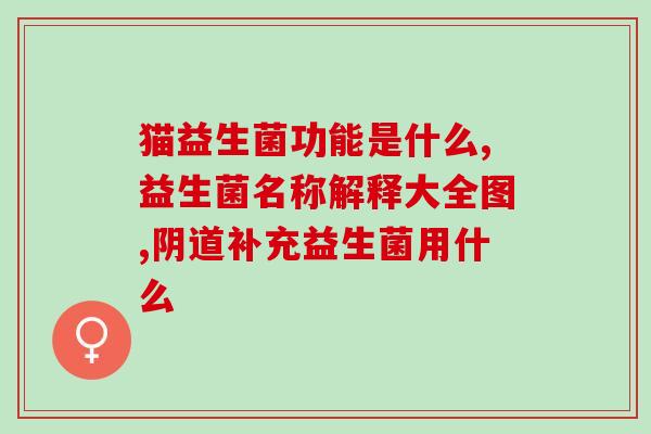 益生菌怎么给狗服用(狗狗服用益生菌的正确方法)