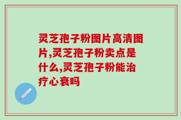 灵芝街道张市人(灵芝街道张市人：传承乡贤文化的中心人物)
