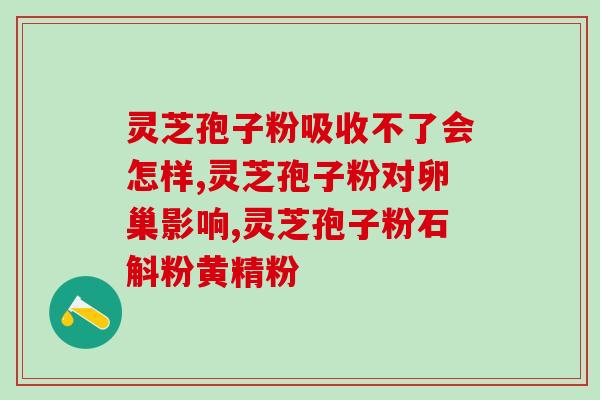 宝安灵芝蛋挞(宝安灵芝蛋挞：香酥外皮夹着灵芝汁，暖心味蕾的佳选)