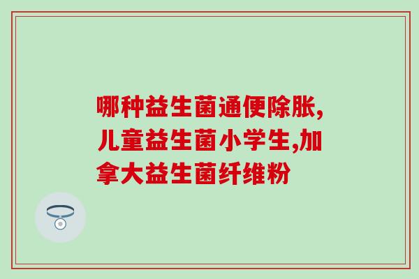 禁食怎么给猫喂益生菌(如何为猫咪添加益生菌：禁食期间的正确喂养方式)