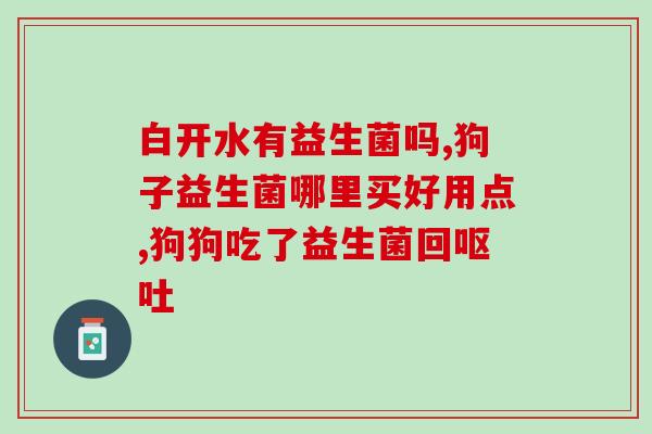 益生菌蛋白粉固体饮料怎么(益生菌蛋白粉固体饮料，开启肠道健康之旅)