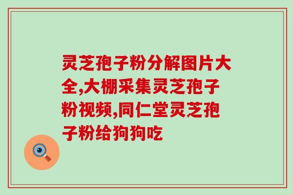 最好的灵芝孢子粉品牌香港？灵芝孢子粉哪个牌子比较好