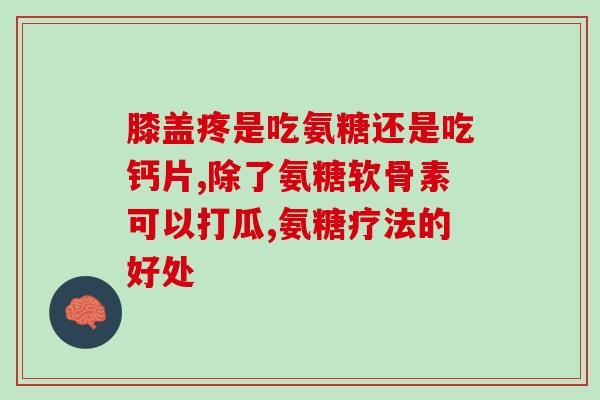 狗狗吃哪种软骨素好呢？对海鲜过敏的狗狗可以吃鲨鱼软骨素吗