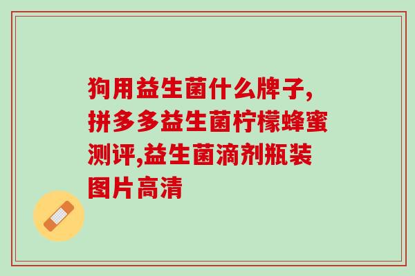 益生菌酵母是什么(益生菌酵母是什么？-易懂解释)