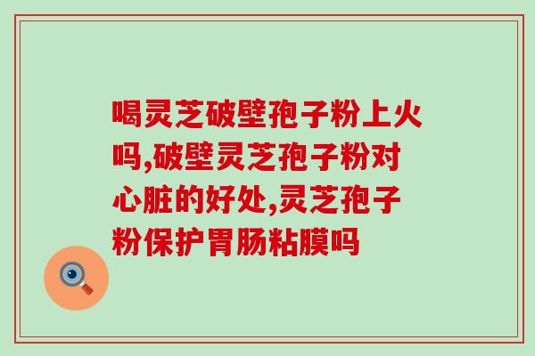 洛小白破壁灵芝孢子粉?灵芝孢子粉的制作配方 洛小白破壁灵芝孢子粉?灵芝孢子粉的制作配方