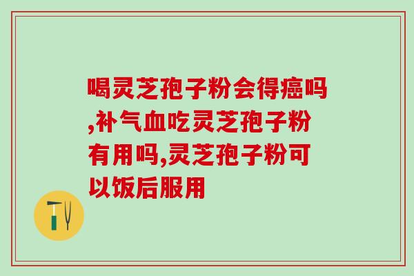 如何用破壁机打灵芝？破壁机打灵芝怎么做