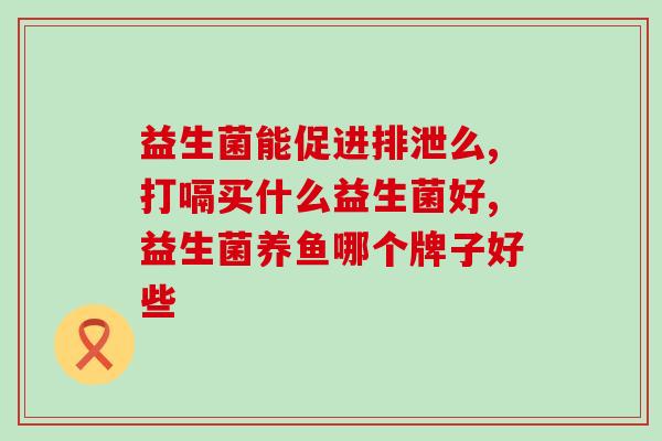 益生菌茵粉怎么吃(如何正确食用益生菌茵粉？)