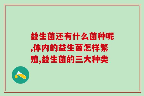 益生菌增肥咋吃效果好呢(如何吃益生菌能更有效地增肥？)