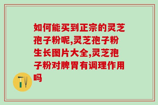 冠心病吃破壁灵芝粉？高血压用灵芝产品能缓解吗