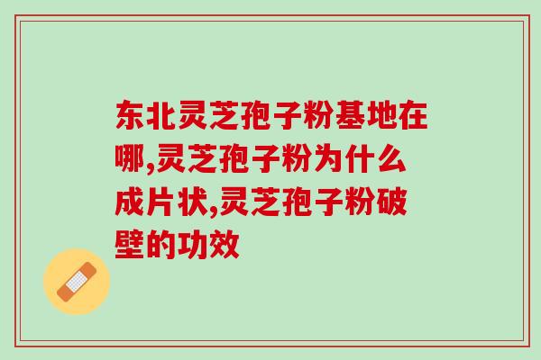 灵芝暖肺(灵芝温暖肺部：古老中药的保健之道)